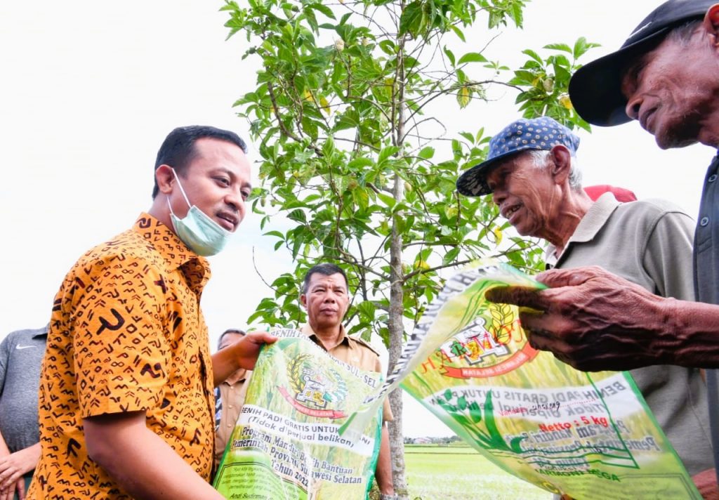 Bantuan Mandiri Benih oleh Gubernur Sulsel Telah Tersalur 1,2 Juta kg benih untuk Lahan 48 ribu Ha