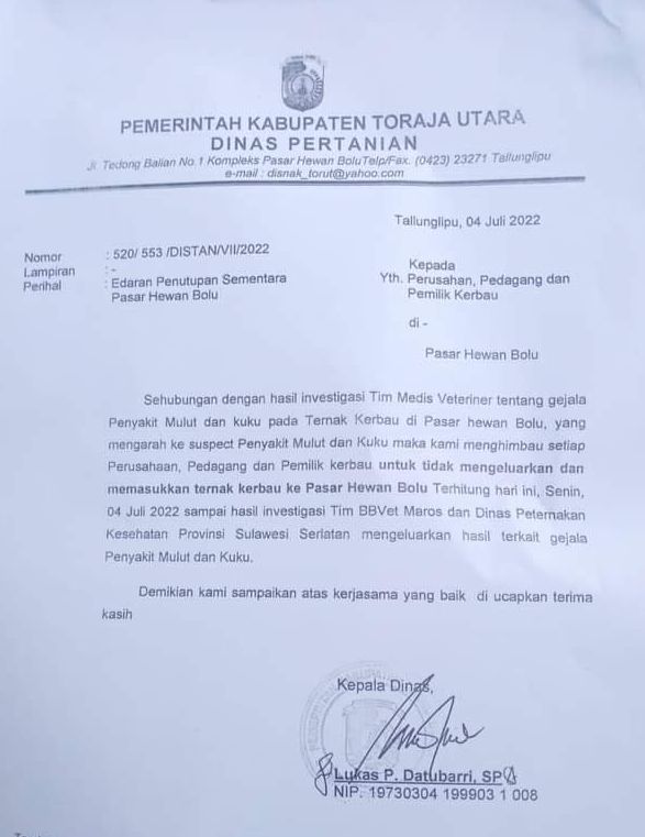 Pasar Hewan di Toraja Utara Ditutup Sementara, Kerbau Mulai Terserang Penyakit