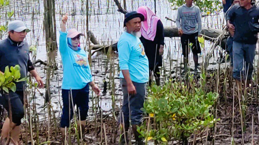 Rawat Ekosistem Lingkungan Laut, DKP Sulsel Tanam 38 Ribu Batang Mangrove di Bone