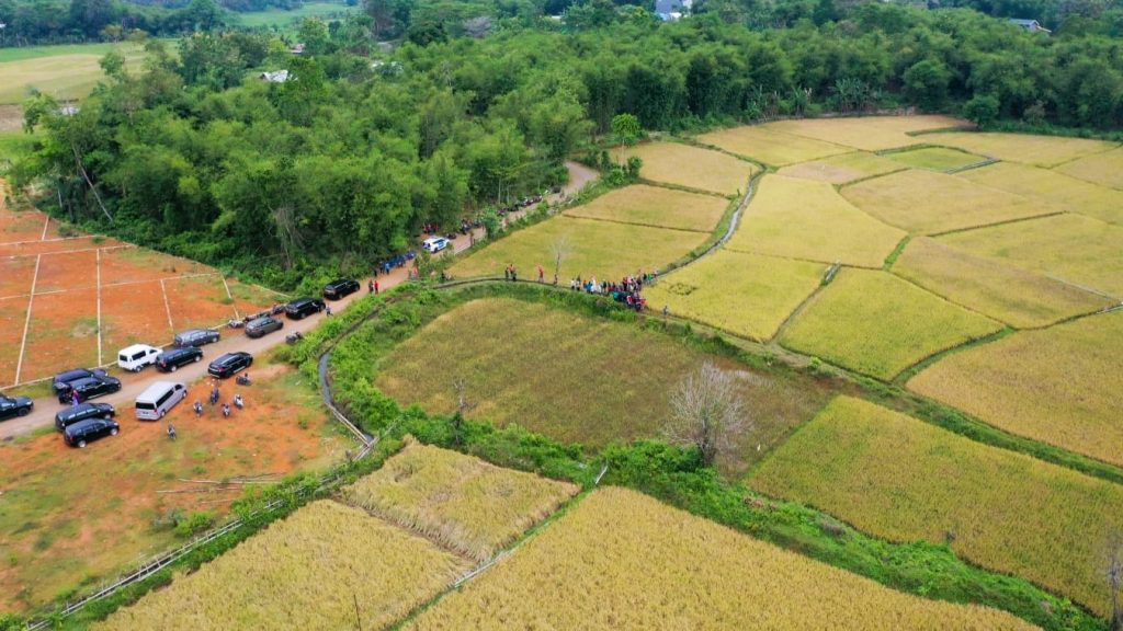 Inovasi Mandiri Benih Gubernur Dongkrak Hasil Pertanian di Sulsel