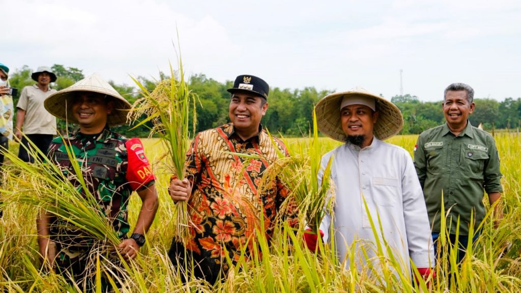 Program Mandiri Benih Gubernur Andi Sudirman di Maros Telah Menuai Hasil