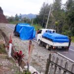 Satgas PMK Toraja Utara Temukan Pick Up Berisi 60 Ekor Babi, Diminta Kembali ke Luwu