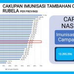 Sulsel Peringkat Dua Nasional Capaian Bulan Imunisasi Anak Nasional Tahap Pertama I
