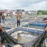 Gubernur Andi Sudirman Tinjau Usaha Budidaya Perikanan Keramba Apung di Balang Baru Tamalate