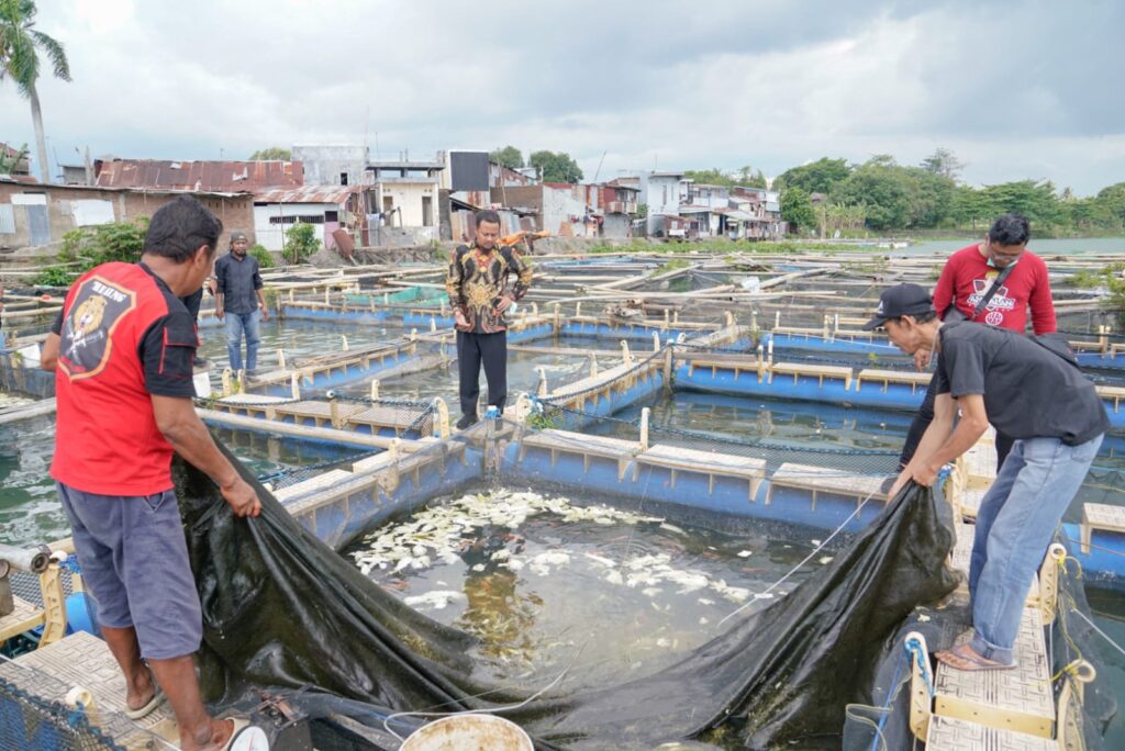 Gubernur Andi Sudirman Tinjau Usaha Budidaya Perikanan Keramba Apung di Balang Baru Tamalate