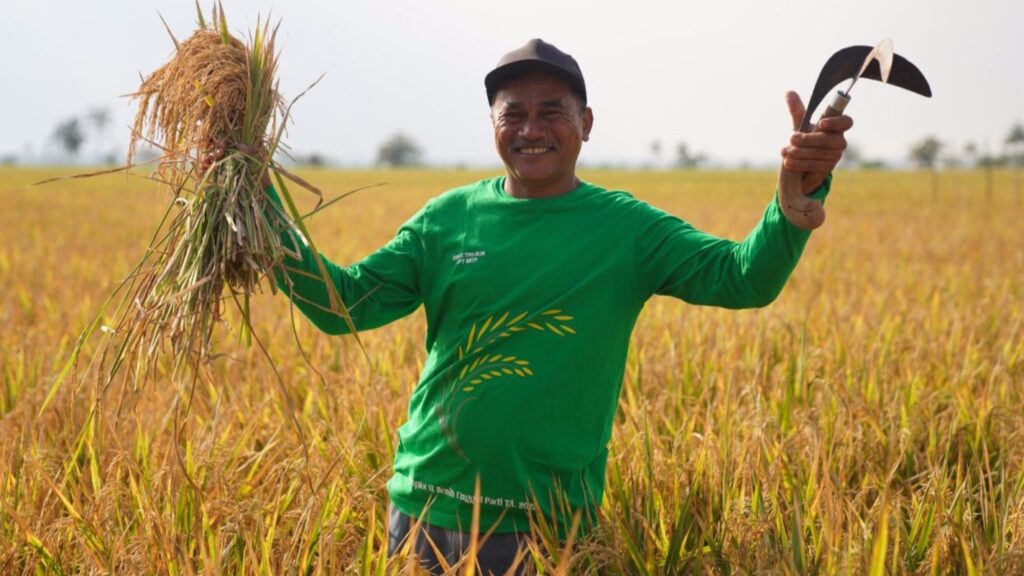 Sulsel Jadi Nomor 1 Penyuplai Beras Nasional