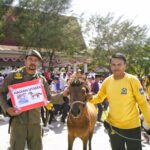 Satpol PP Jeneponto Raih Hadiah Utama 1 Ekor Kuda Jalan Santai Sulsel Anti Mager