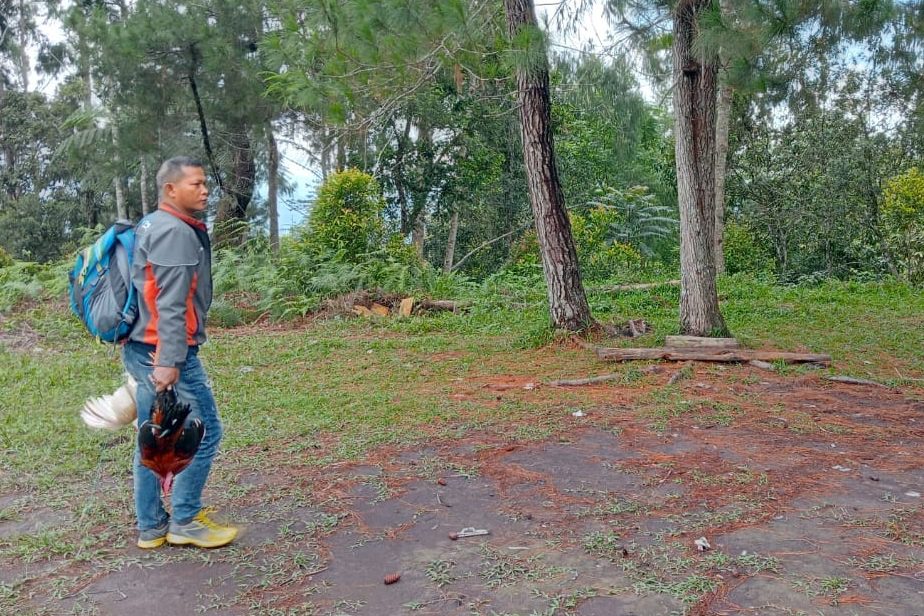 Polisi Bubarkan Arena Sabung Ayam di Toraja Utara, Penjudi Kocar-kacir 1 Polisi Bubarkan Arena Sabung Ayam di Toraja Utara, Penjudi Kocar-kacir