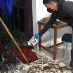 BREAKING NEWS: Sekret KNPI Toraja Utara Diduga Dibakar, Pengurus Lapor Polisi