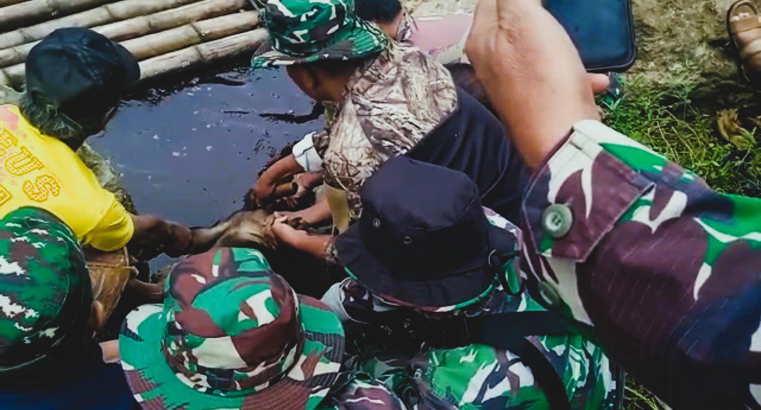 Pencarian Anggota TNI Hanyut Masih Nihil, Warga Sembelih Babi