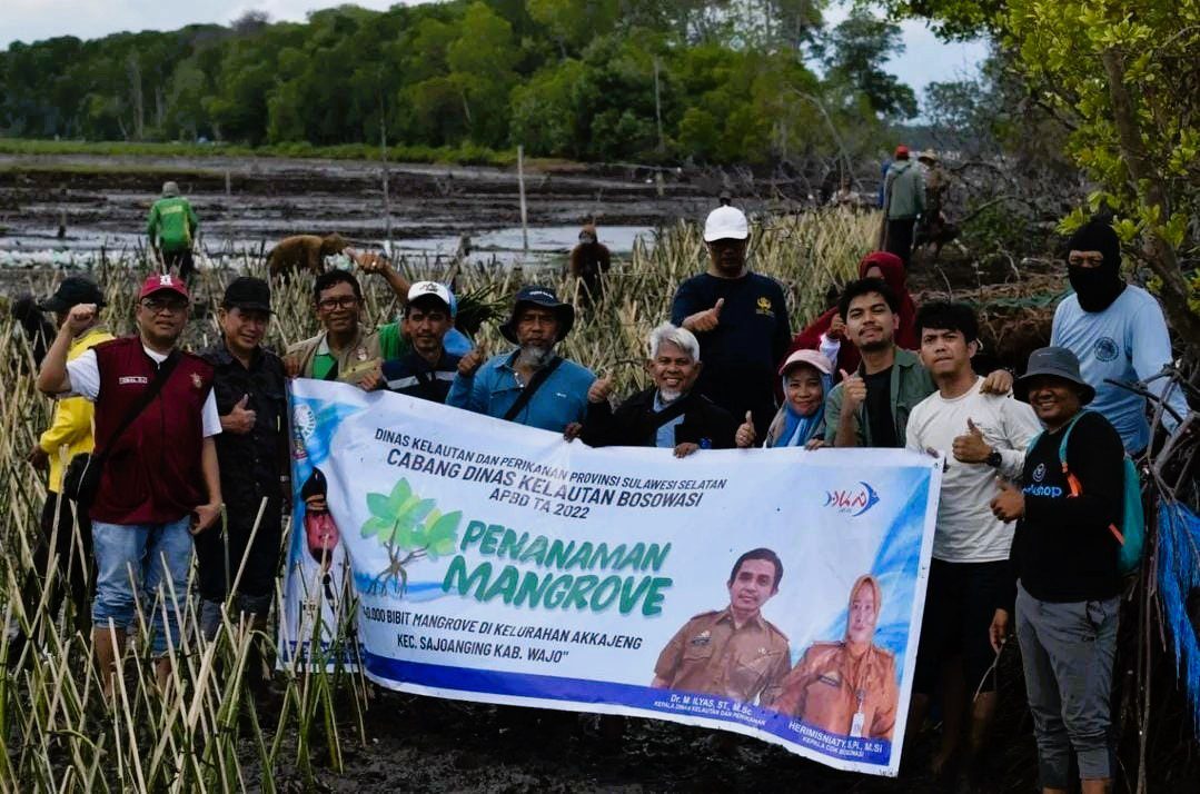DKP Sulsel Bersama Masyarakat Pelestari Lingkungan Tanam 40 Ribu Batang Mangrove di Pesisir Wajo