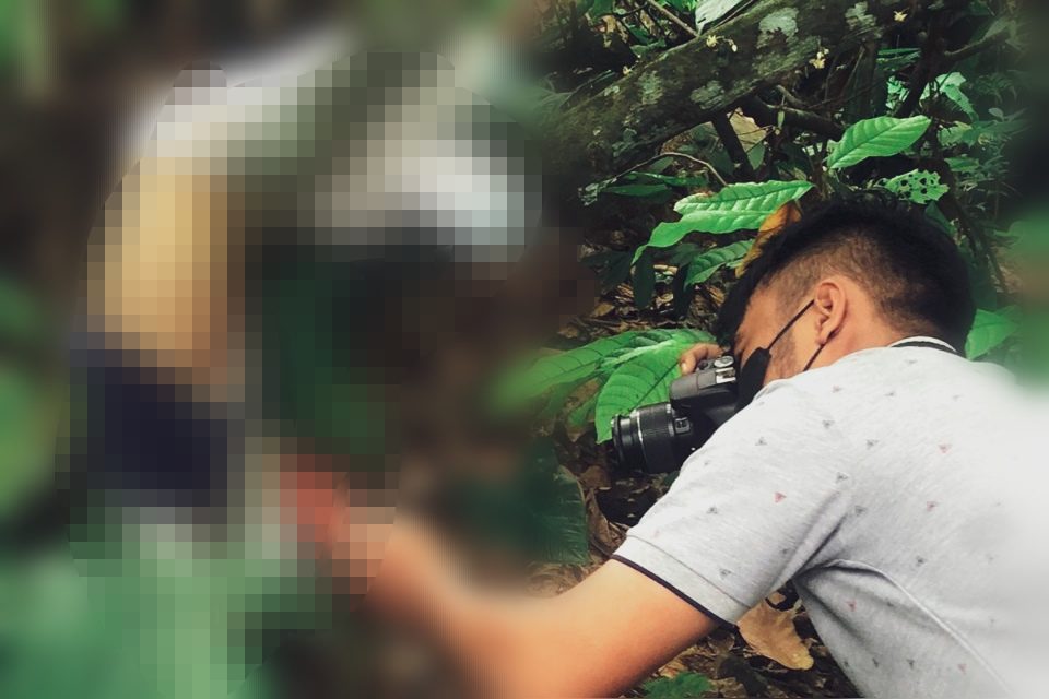 Balita di Tana Toraja Ditemukan Tewas Tergantung di Pohon Kakao