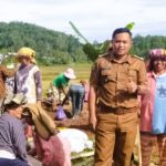 Ketua Apdesi Tana Toraja Soroti Pj Gubernur Sulsel Minta ADD untuk Budidaya Pisang