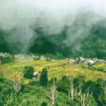 Tambang Diantara Kesejahteraan dan Ancaman Kerusakan Lingkungan dan Budaya Toraja