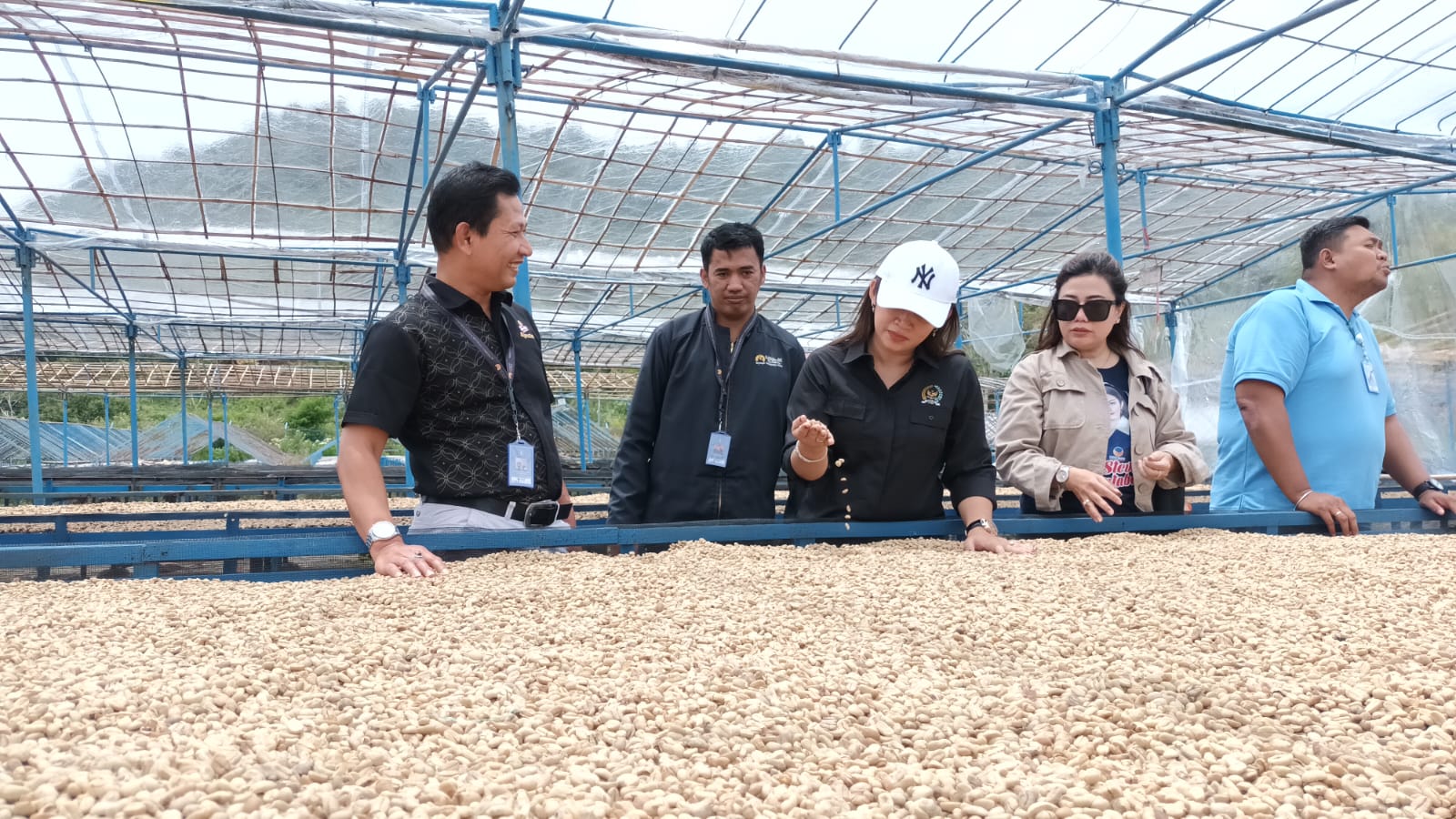 Kunjungi Perkebunan Kopi di Bittuang, Eva Rataba : Kopi Sebagai Ikon Pariwisata Toraja