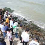 Tidak Lagi Terkena Abrasi, Warga Pa’lalakkang: Alhamdulillah, Terima Kasih Pak Gub