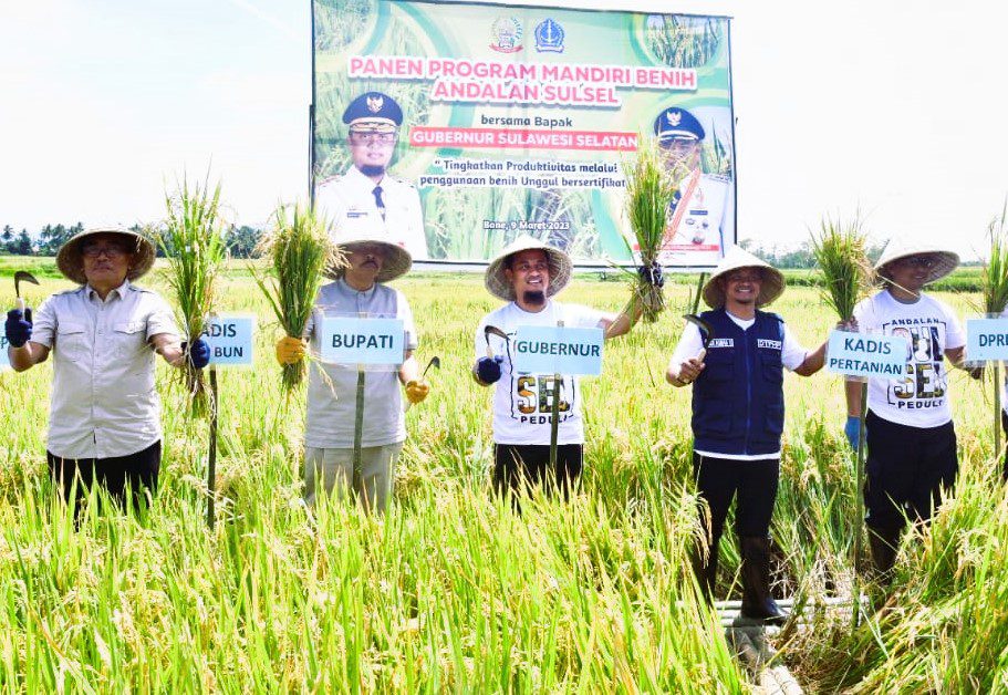 Meningkat Signifikan, Gubernur Andi Sudirman Panen Mandiri Benih di Desa Palakka