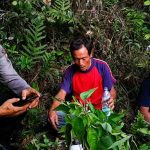 Nekat Naik Gunung Berujung Nyasar, Pria di Toraja Ngaku Dapat Bisikan Gaib
