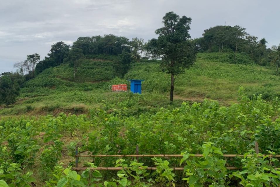 Wajo Kembali Produksi Kokon Setelah 20 Tahun, Bupati Amran: Terima Kasih Pak Gubernur 1 Wajo Kembali Produksi Kokon Setelah 20 Tahun, Bupati Amran: Terima Kasih Pak Gubernur