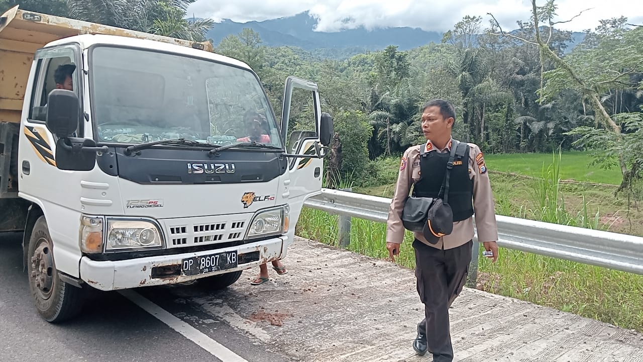 Polsek Sanggalangi Gagalkan Penyelundupan 70 Ekor Babi Jalur Bastem-Rantebua Toraja Utara