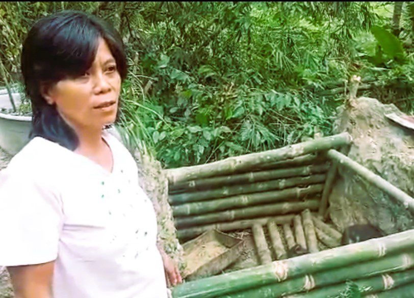 Curhat Peternak Tana Toraja 12 Babinya Mati Diserang Virus ASF hingga Rugi Rp 50 Juta