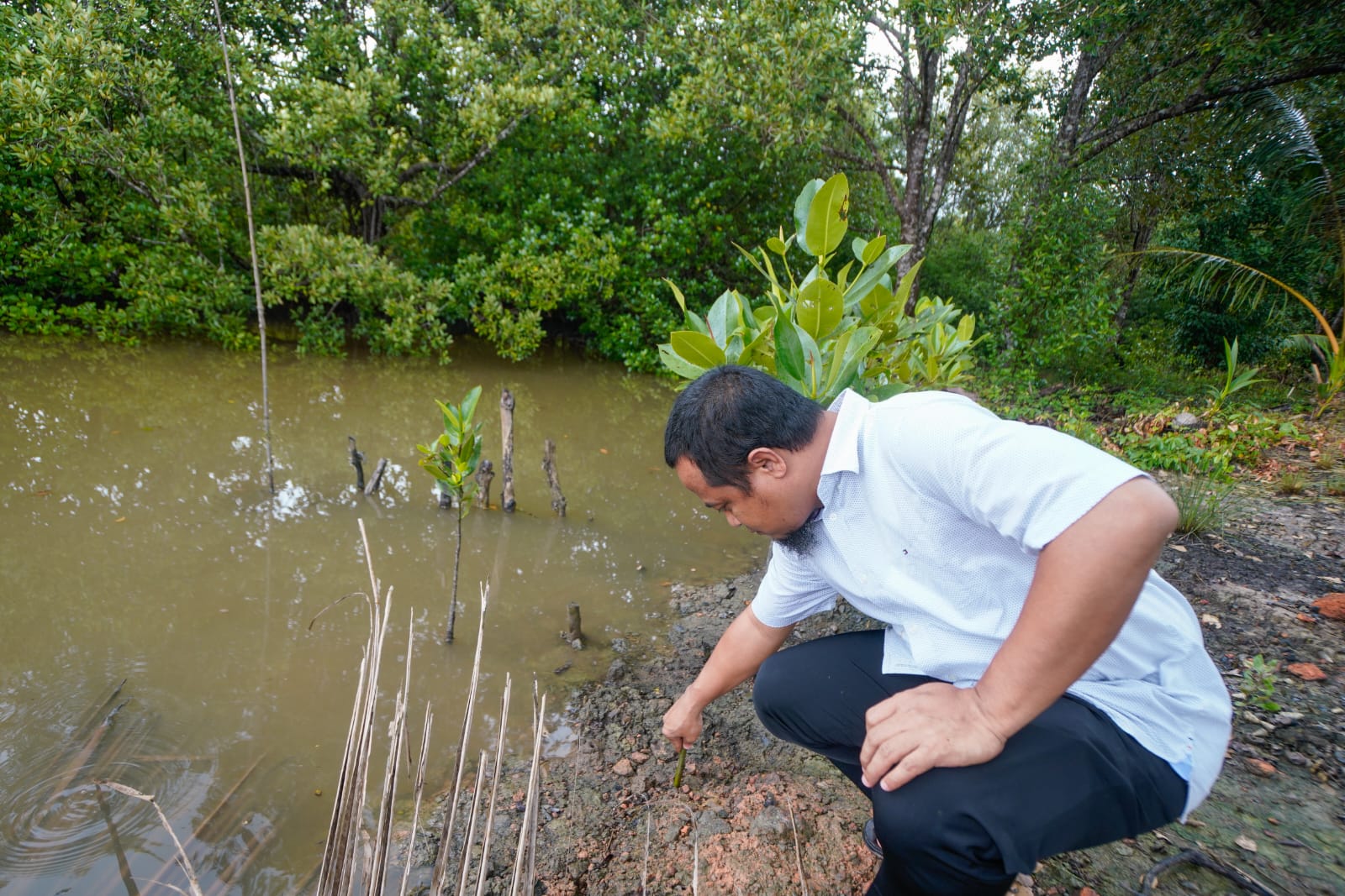 Gubernur Andi Sudirman Minta DKP Sulsel Contoh Kesuksesan Carbon Trading di Kepri untuk Tingkatkan PAD