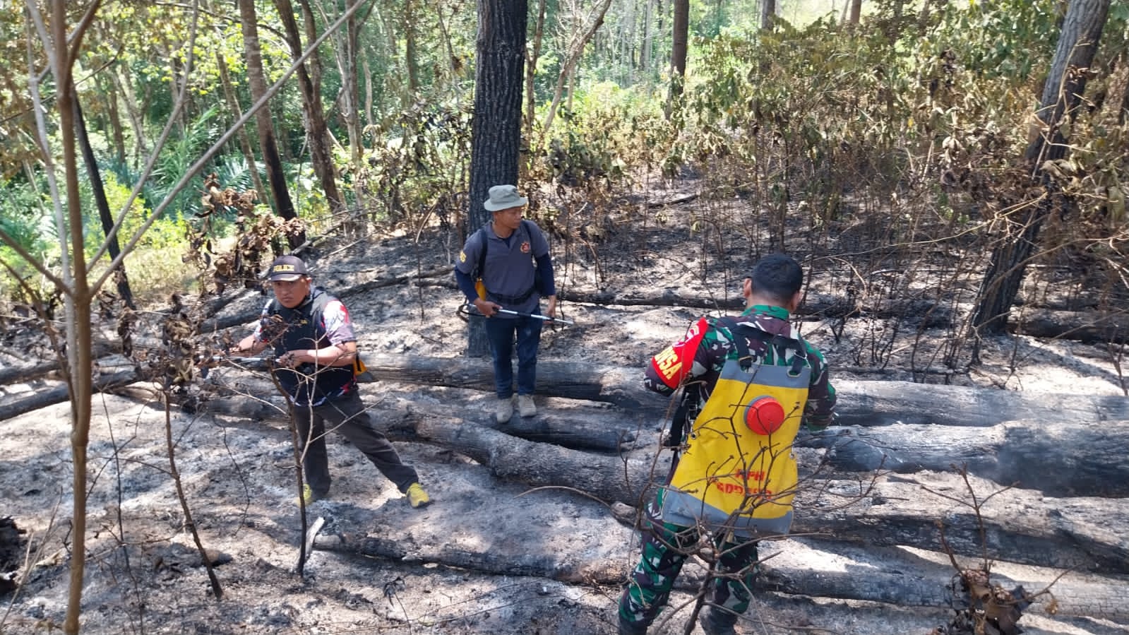 Hutan dan Empat Hektar Lahan Warga di Sanggalangi Toraja Utara Dilalap Api