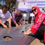 Sofha Marwah Bahtiar Mulai Gerakan Tanam Cabai di Kabupaten Wajo
