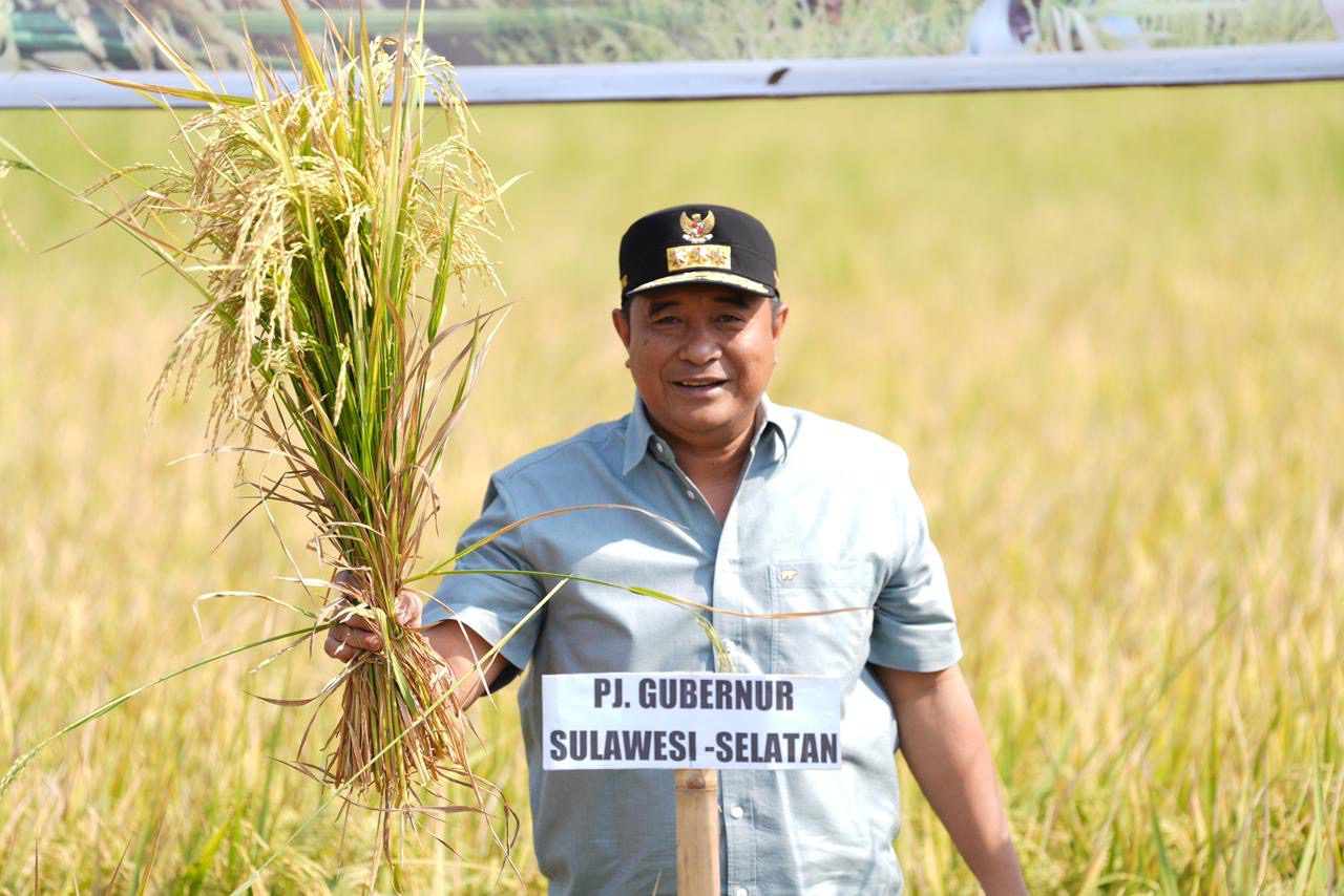 Panen Raya di Gowa, Sulsel Sukses Tangani Dampak El Nino