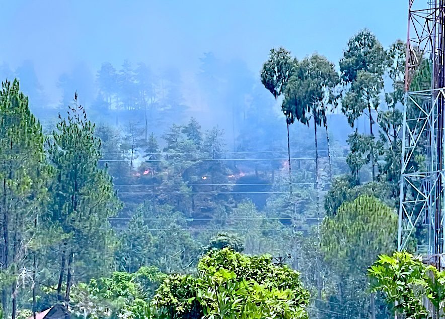 Hutan Pinus di Bandara Toraja Terbakar, Dekat Pemukiman Warga
