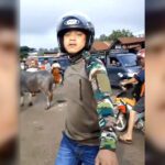 Sopir Bupati Cekik Warga di Toraja Utara Berprofesi TNI