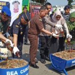 Bea Cukai Parepare Musnahkan 1,4 juta Rokok Ilegal dan 345 Liter Miras