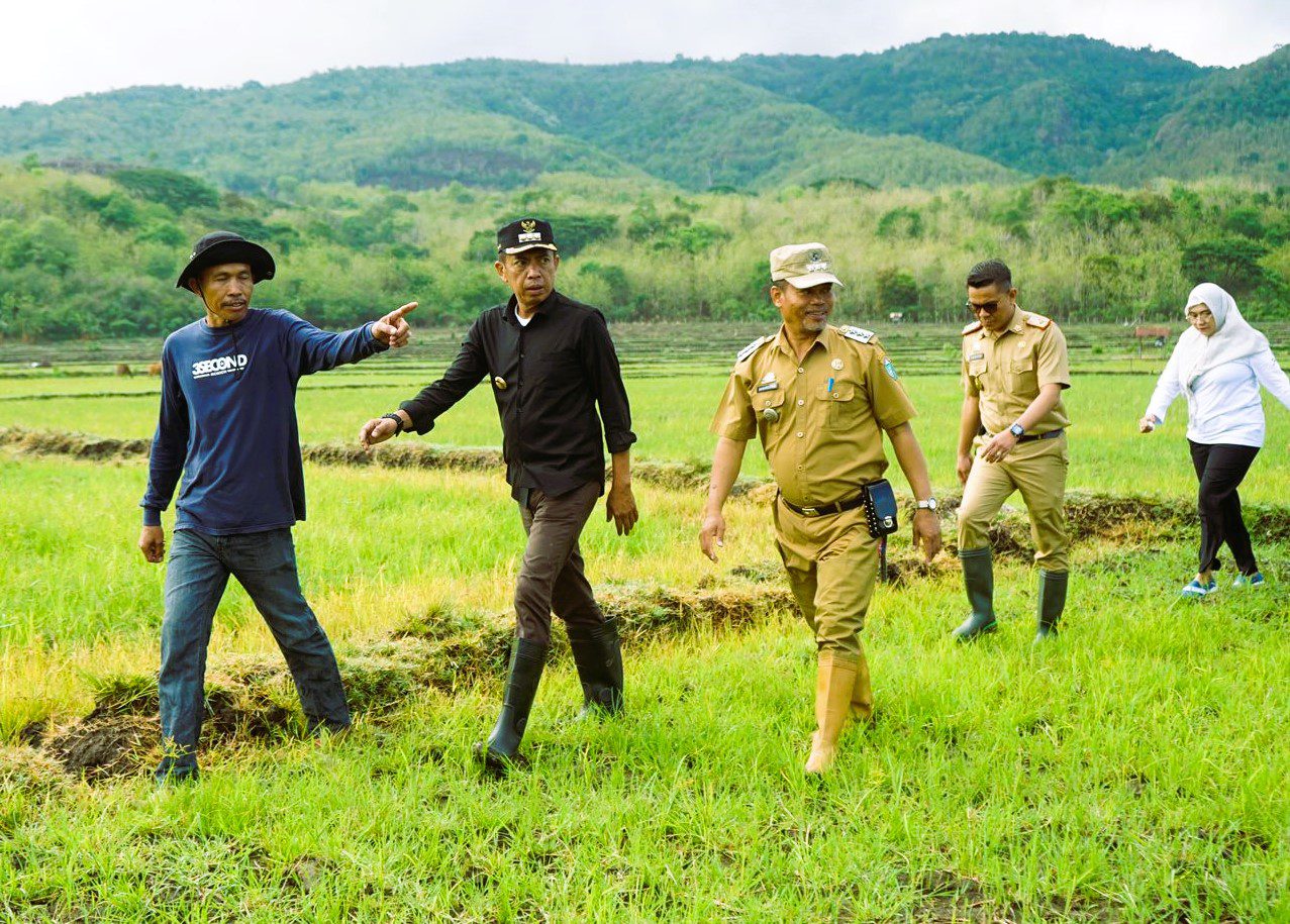 Hadiri Mappalili, Pj Wali Kota Parepare Minta Alam Dikelola Dengan Baik