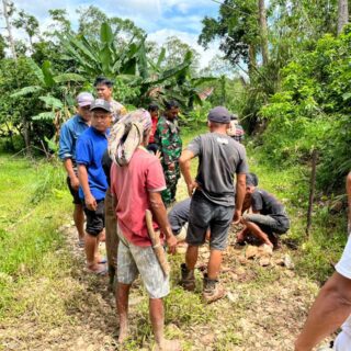 Ritual Adat Tarik Batu di Toraja Utara Ricuh, Seorang Pria Ditikam Pisau