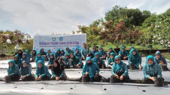 Tim Penggerak PKK Kota Parepare Gelar Gerakan Tanam Cabai