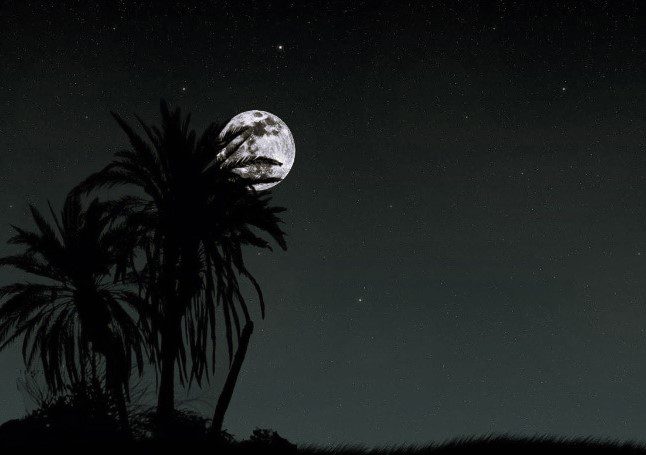 Keistimewaan Malam Lailatul Qadar