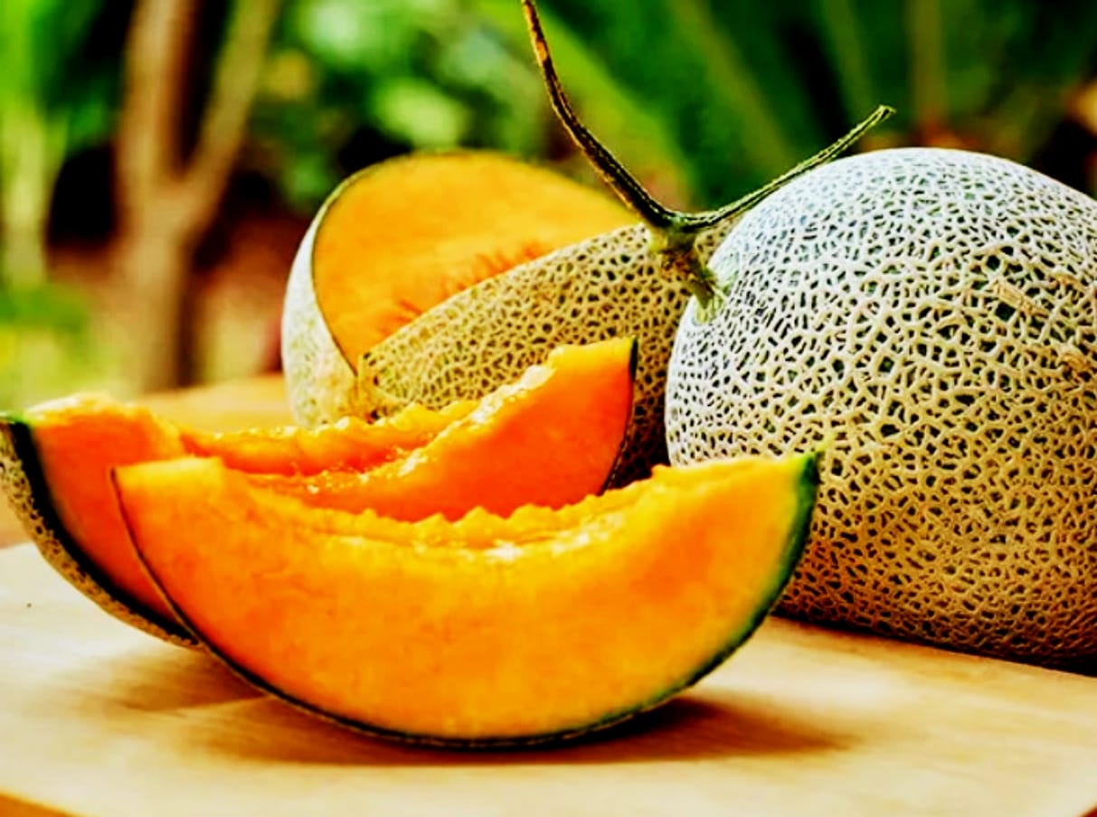 Manfaat Melon untuk Kesehatan: Buah Segar yang Penuh Nutrisi