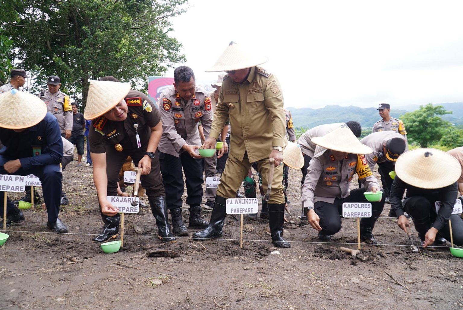 Pemkot Parepare Gelar Penanaman Jagung Serentak, Dukung Program Asta Cita