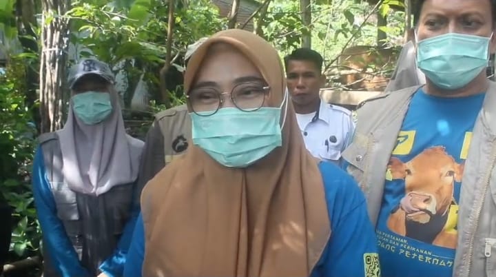 Pemkot Parepare Minta Peternak Perhatikan Kebersihan Kandang, Waspadai PMK