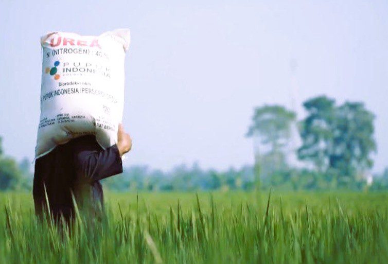 Petani Wajib Tahu! Jadwal Pemutakhiran Data e-RDKK untuk Pupuk Subsidi Dibuka 6–18 Maret 2025