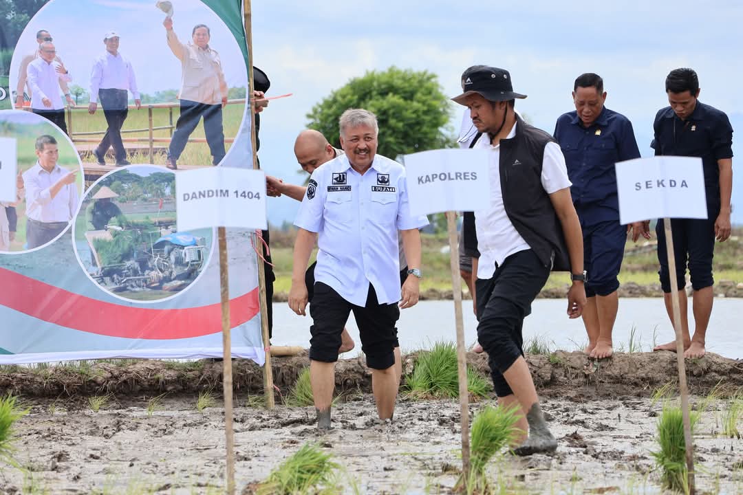 Pemkab Pinrang Gelar Tanam Padi Serentak, Wujudkan Swasembada Pangan