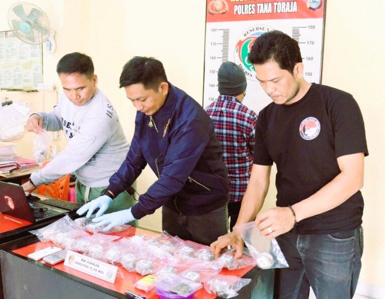 Polres Tana Toraja Gagalkan Peredaran Ganja 1,2 Kg, Pelaku Terancam 20 Tahun Penjara