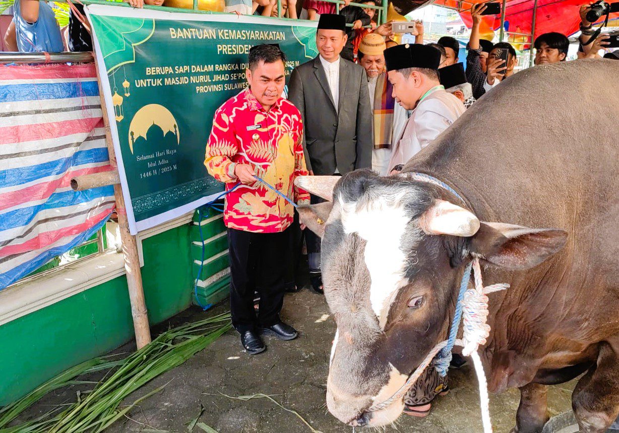 Dimoment Idul Adha, Presiden Prabowo Bagikan 578 Sapi Kurban, Termasuk ke Tana Toraja dan Toraja Utara 2 Dimoment Idul Adha, Presiden Prabowo Bagikan 578 Sapi Kurban, Termasuk ke Tana Toraja dan Toraja Utara
