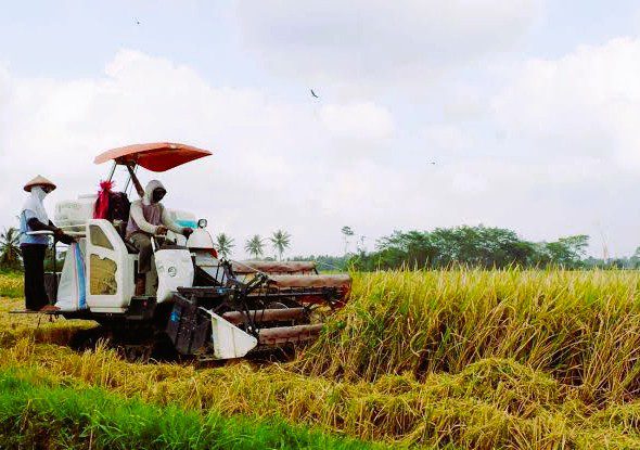 Kelompok Tani di Bone Bantah Isu Jual Beli Bantuan Alsintan dan Bagi Hasil