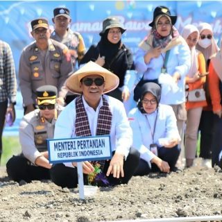 Mentan Amran Canangkan Majene Jadi “Kabupaten Bawang” di Sulawesi Barat, Pasok Kawasan Timur Indonesia