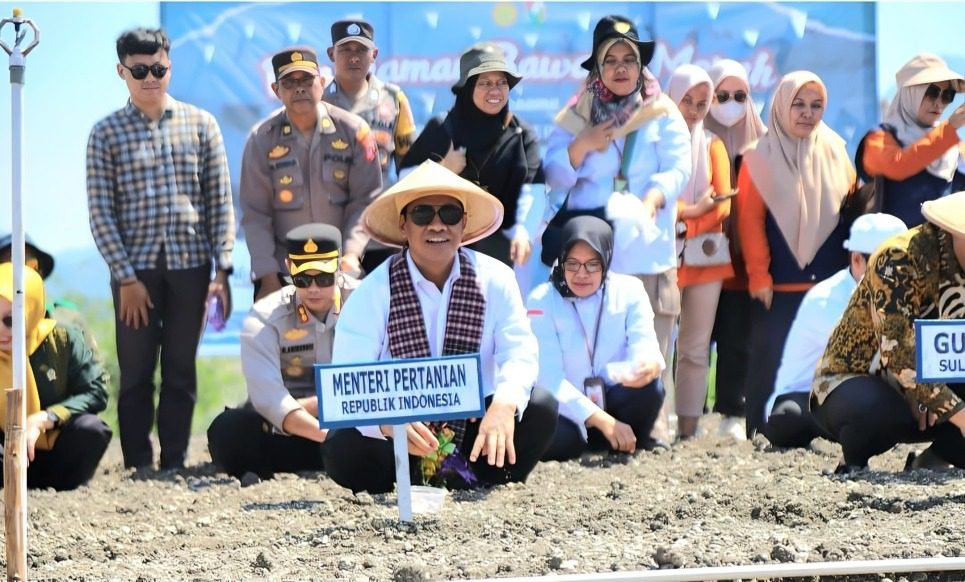 Mentan Amran Canangkan Majene Jadi “Kabupaten Bawang” di Sulawesi Barat, Pasok Kawasan Timur Indonesia