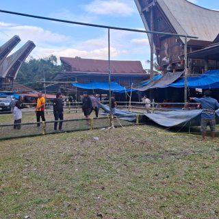 Bongkar Arena Sabung Ayam di Tondon Langi’, Polisi Tegaskan Adat Tidak Boleh Jadi Kedok Judi