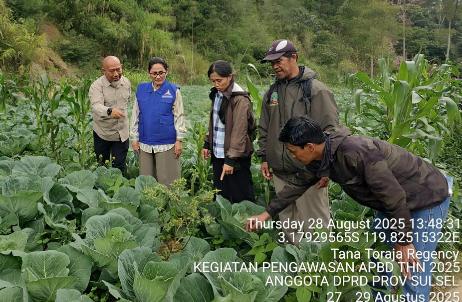 Yuniana Mulyana Temui Petani di Perindingan, Serap Aspirasi dan Tinjau Bantuan Benih Cabe