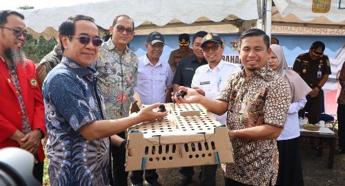 pemkot parepare
