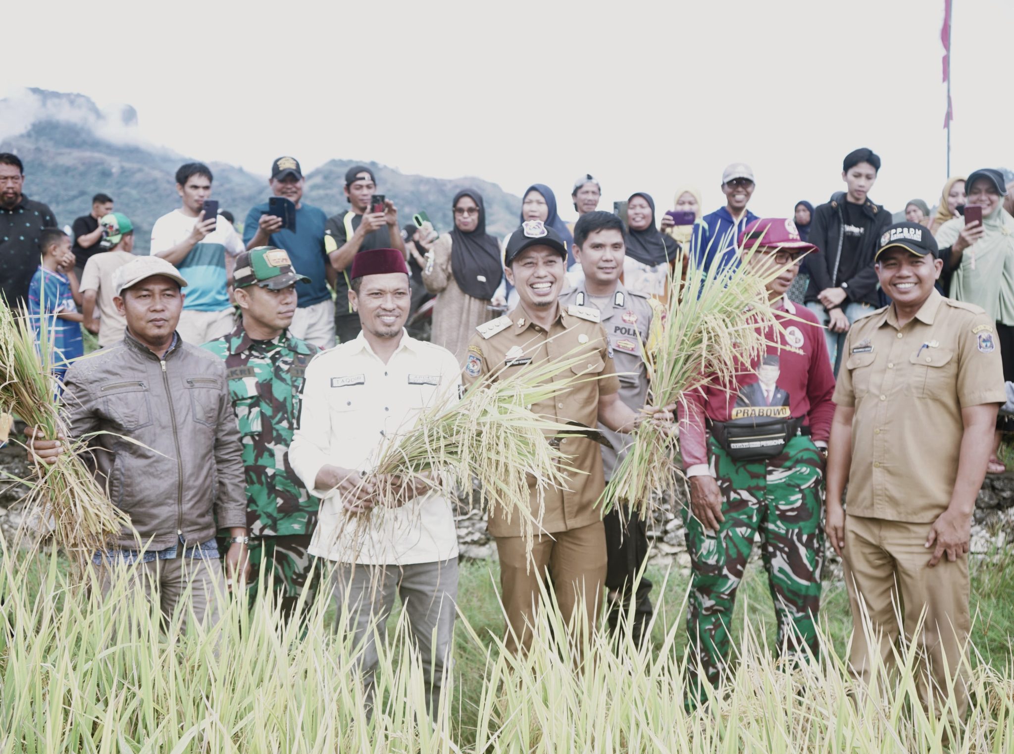 Panen Raya di Buttu Batu, Bupati Ajak Petani Sambut Masa Depan dengan Teknologi
